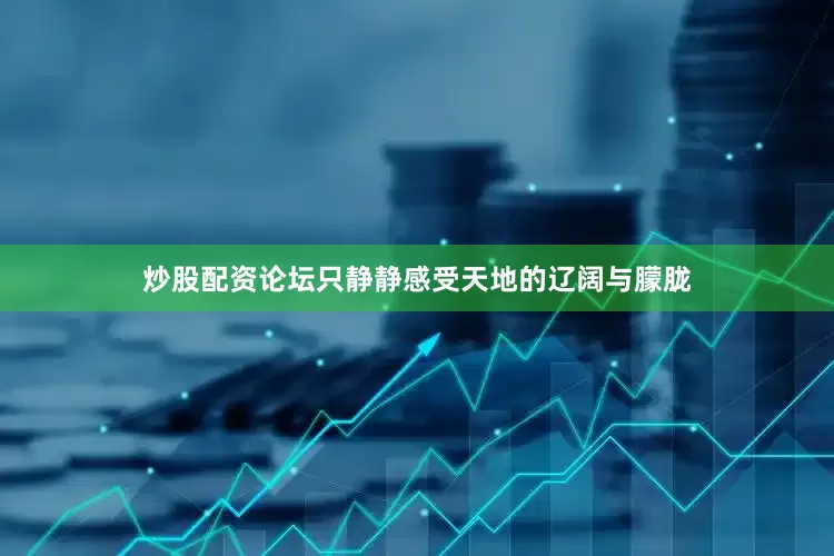 炒股配资论坛只静静感受天地的辽阔与朦胧