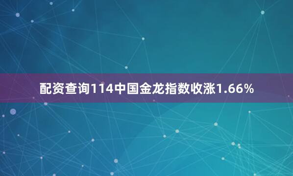 配资查询114中国金龙指数收涨1.66%