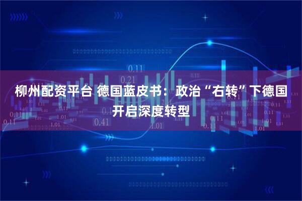 柳州配资平台 德国蓝皮书：政治“右转”下德国开启深度转型